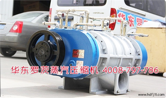 華東羅茨蒸汽壓縮機(jī).jpg 華東羅茨蒸汽壓縮機(jī).jpg