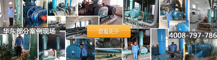 污水曝氣羅茨風機 華東客戶案例