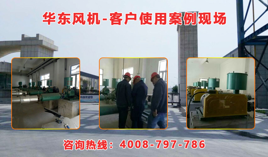 華東內(nèi)蒙古羅茨風(fēng)機(jī)案例-內(nèi)蒙古**生物環(huán)?？萍加邢挢?zé)任公司